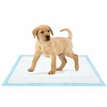 60 X 45 Cm Grote Puppy Training Pads Toilet Plas Wee Matten Huisdier
