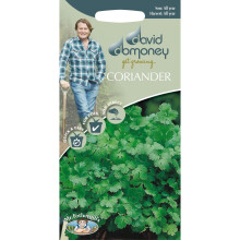 Mr Fothergills - Herb - David Domoney - Coriander Cilantro 150s