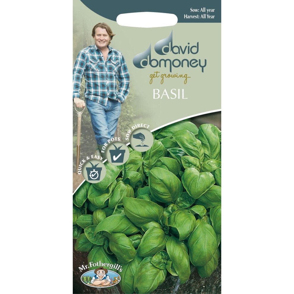 Mr Fothergill's - Herb - David Domoney Basil Sweet - 650S