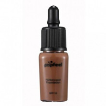 2017 Moisturizing korean Oil-control POPFEEL Makeup Liquid Foundation Moisturizing Waterproof Concealer BB Cream E July21