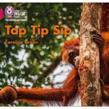 Tap Tip Sip