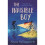 The Invisible Boy 1