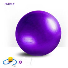 (Purple) 65cm Yoga Ball Fitness Balls Sports Pilates Birthing Exercise Training Workout (including pump)