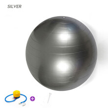 (Silver) 65cm Yoga Ball Fitness Balls Sports Pilates Birthing Exercise Training Workout (including pump)