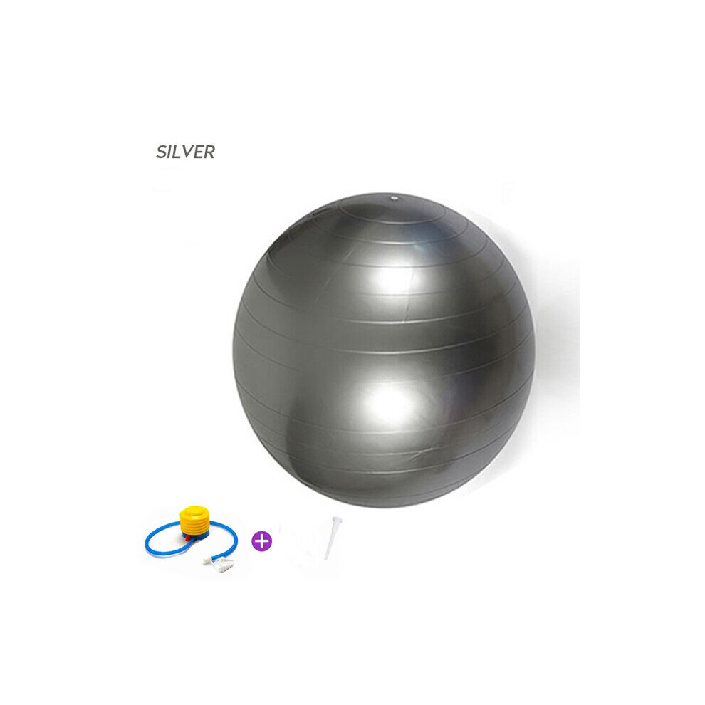 (Silver) 65cm Yoga Ball Fitness Balls Sports Pilates Birthing Exercise Training Workout (including pump)