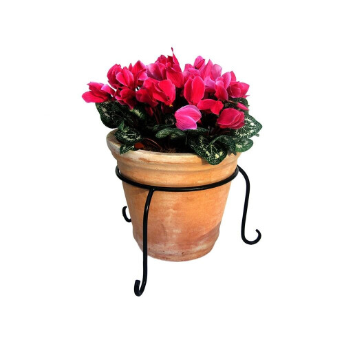 (8" Diameter) Flower Pot Ring - 10" Diameter