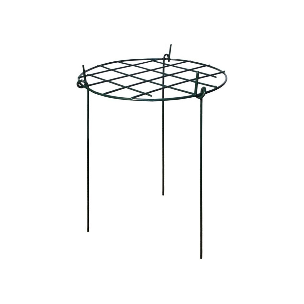 Garden Pride ) Grow Through Plant Supports Green Large