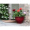 (Large, Red) Feather Pot Striped Blue - 30cm 2