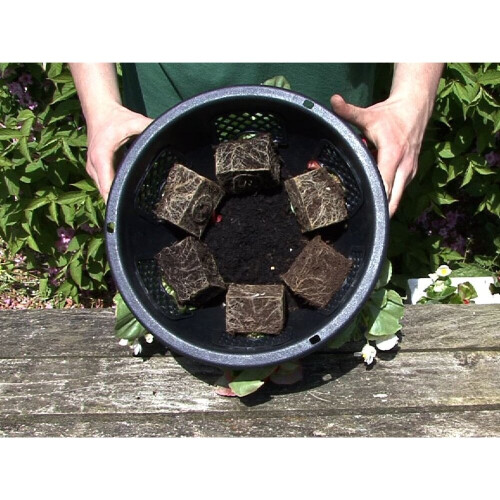 12" Easy-fill Hanging Basket - Pack of 1 2