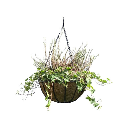 (16" Diameter) Hanging Basket/Hanging Cauldron Planter 1