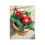 (5" Diameter) Wall Pot Rings - Sold in pairs - 7" 3