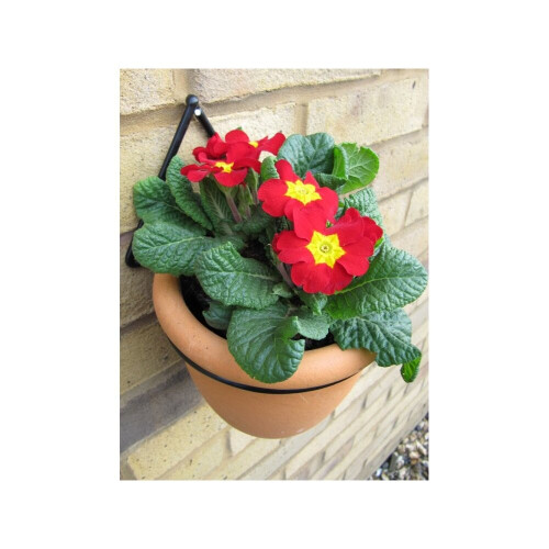 (5" Diameter) Wall Pot Rings - Sold in pairs - 7" 2