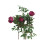 (Large) Rusty Bow Plant Supports 5