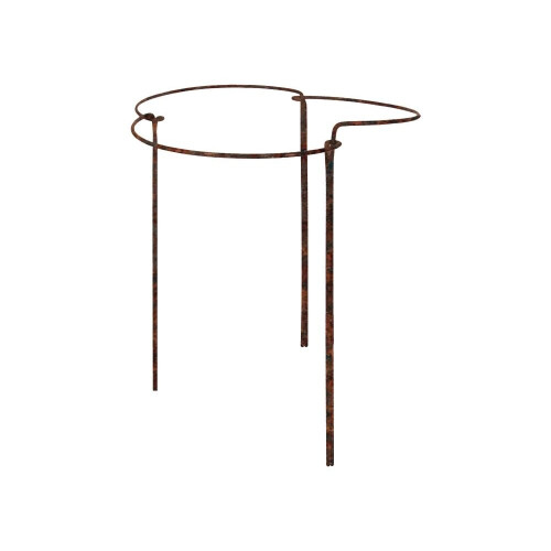 (Low) Rusty Bow Plant Supports 2