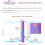 25 Ovulation Test Strips Ovulation Predictor Kit Powered by Premom Ovulation Predictor iOS and Android App 25 LH Strips 4