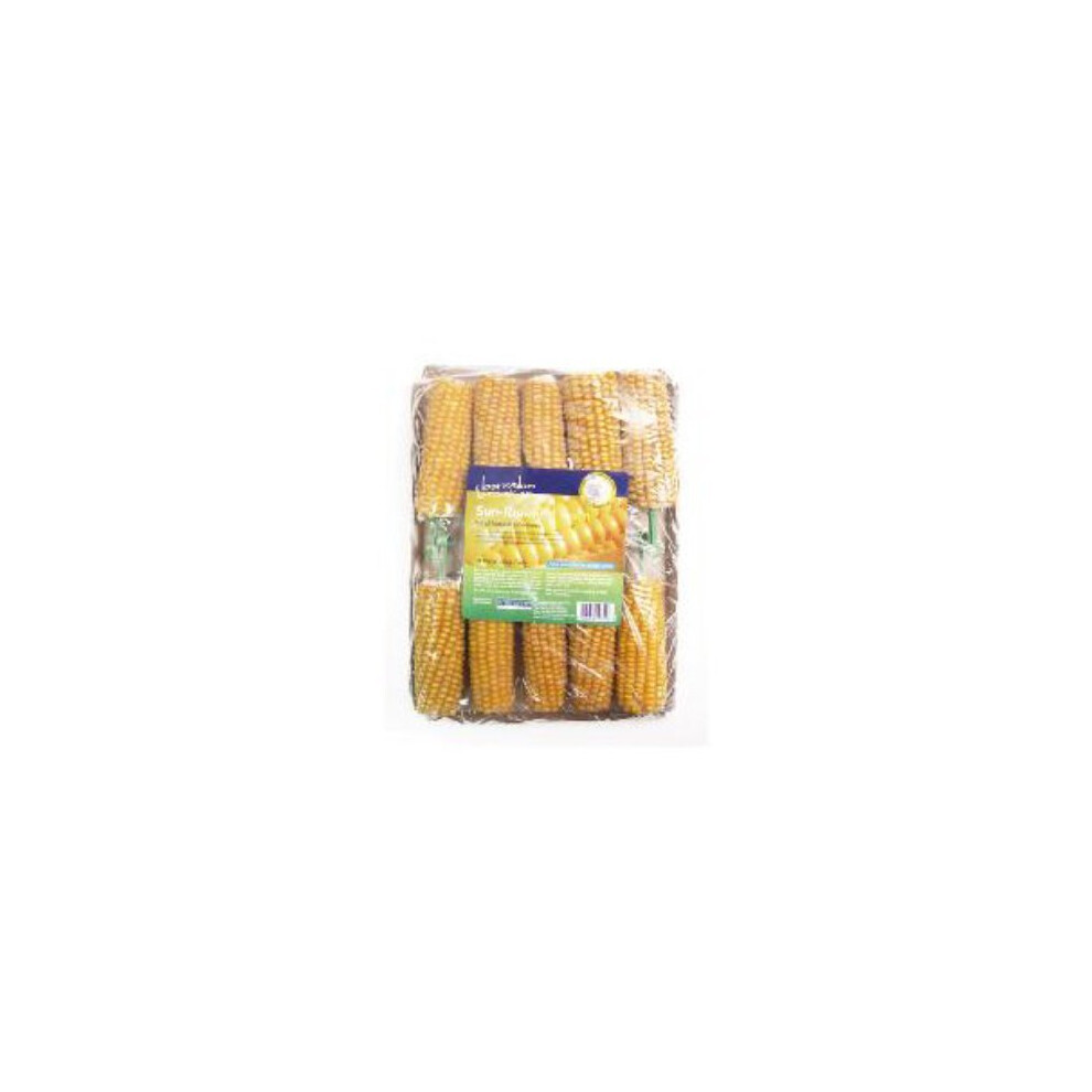 Rosewood Corn On The Cob 10 Pack-image-OPC-P66M9MZ-NEW