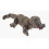 Ty Scaly the Lizard - Ty Beanie Baby 1