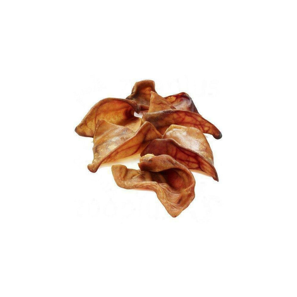 (10) Extra Large XL Pigs Ears Dog Treat Chew