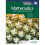 Mathematics for the IB Diploma: Analysis and approaches SL 1