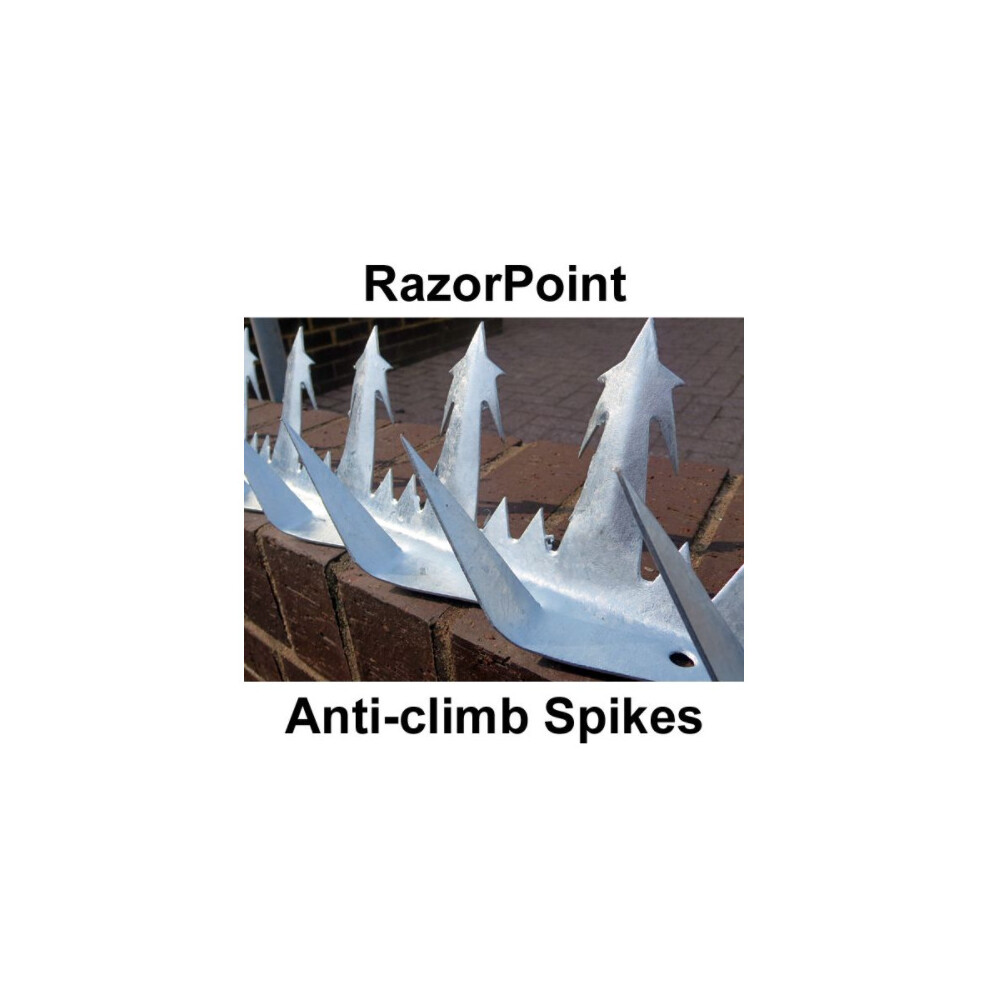 (1.2 Metres in Length ) Razor Point Anti Climb