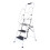 Genius Safety Step Ladder 1