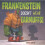 Frankenstein Doesn't Wear Earmuffs! 1