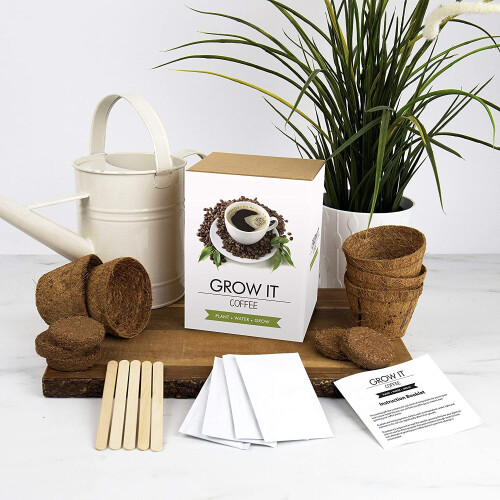 Gift Republic Grow It Coffee Gift Box