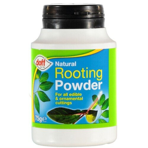 Doff Doff Natural Rooting Powder