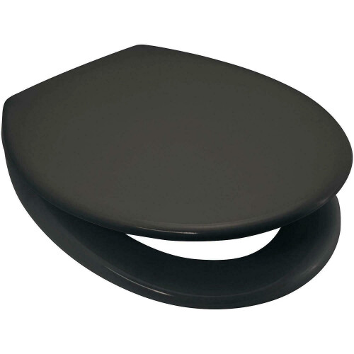 Anthracite / Dark Slate Grey Soft Close Toilet Seat Quick Release