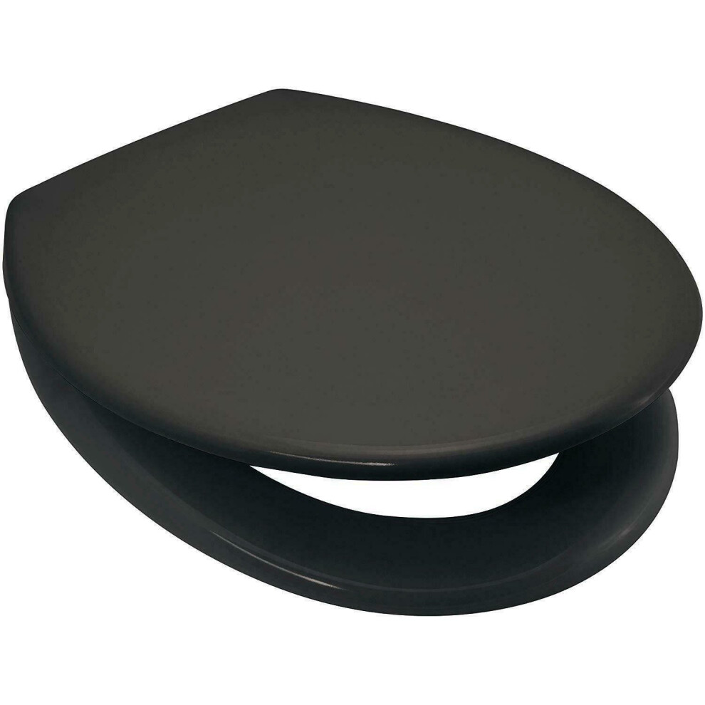 Anthracite / Dark Slate Grey Soft Close Toilet Seat Quick Release