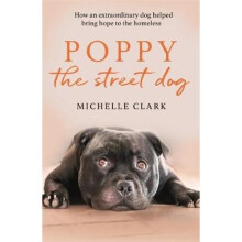 Poppy The Street Dog