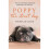Poppy The Street Dog 1