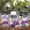 AirBorne, Immune Support Supplement, Elderberry, 2 Tubes, 10 Effervescent Tablets Each 8