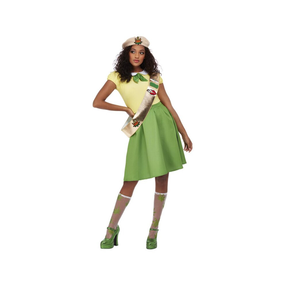 Womens Pot Brownie Fancy Dress Costume (Size 16-18)