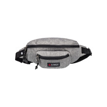 Element Hip Sack ~ Posse grey