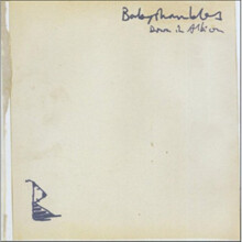Babyshambles >Down In Albion >Vinyl
