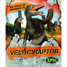 Velociraptor by Sabelko & Rebecca