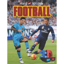 Football 3D by Pegasus