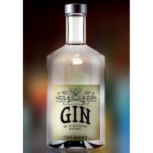 Gin An Illustrated History by Brown & Tina