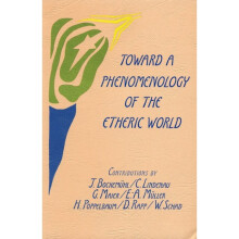 Toward a Phenomenology of the Etheric World by Translated by J Davy & Translated by M Gardner & Edit