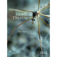 Insect Theatre by Edgar & TimRaffles & Hugh