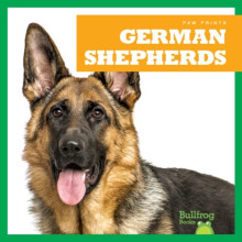 German Shepherds by Duling & Kaitlyn