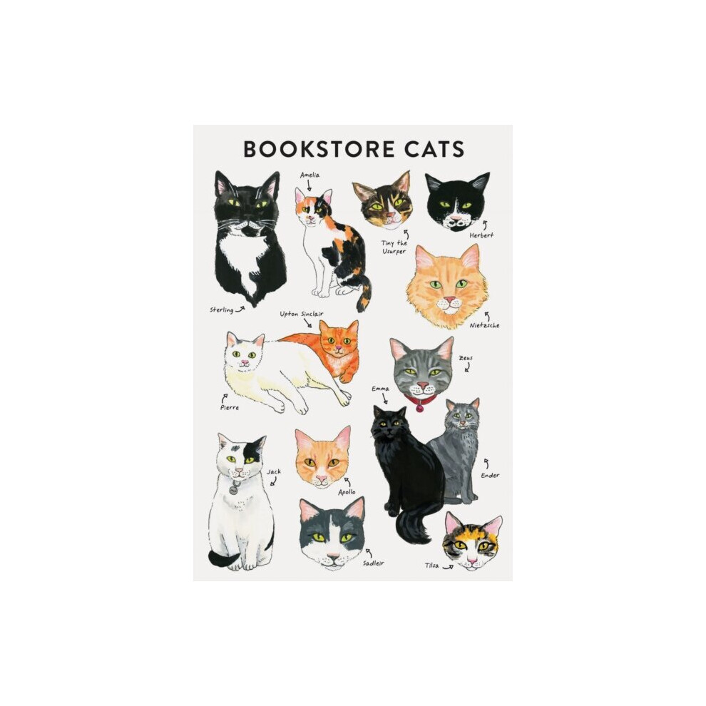Chronicle Books Bibliophile Flexi Journal Bookstore Cats