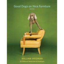Good Dogs on Nice Furniture Notes by William McDevitt
