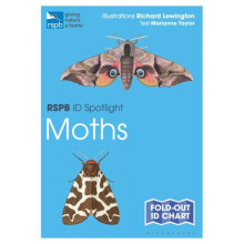 Rspb Id Spotlight - Moths by Taylor & Marianne