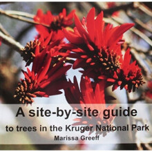 A Site-by-Site Guide to Trees in the Kruger National Park