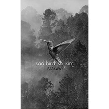 Sad Birds Still Sing by Poetry & Faraway