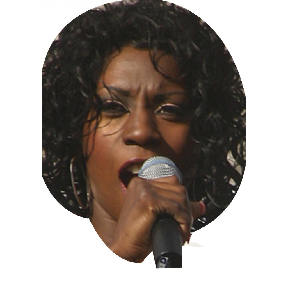 Heather small on a stick celebrity party face fancy dress