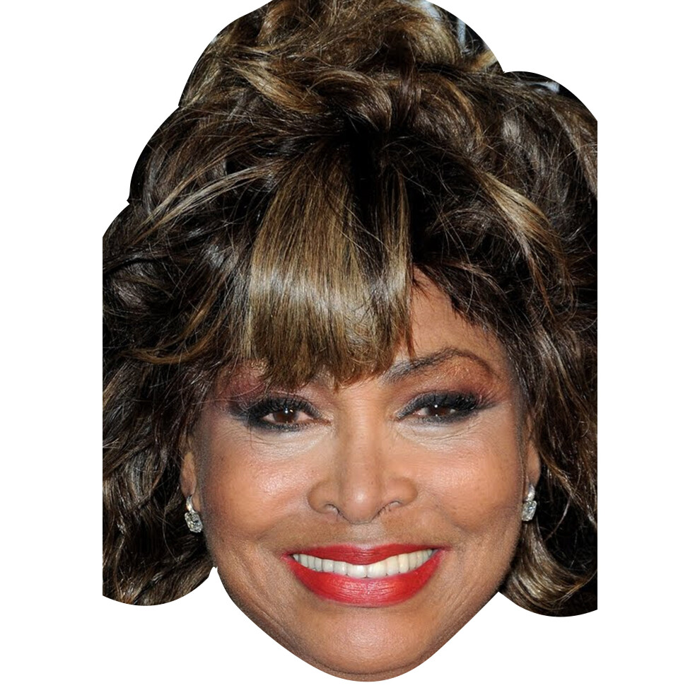 Tina Turner celebrity Party Face Fancy Dress