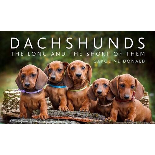Dachshunds